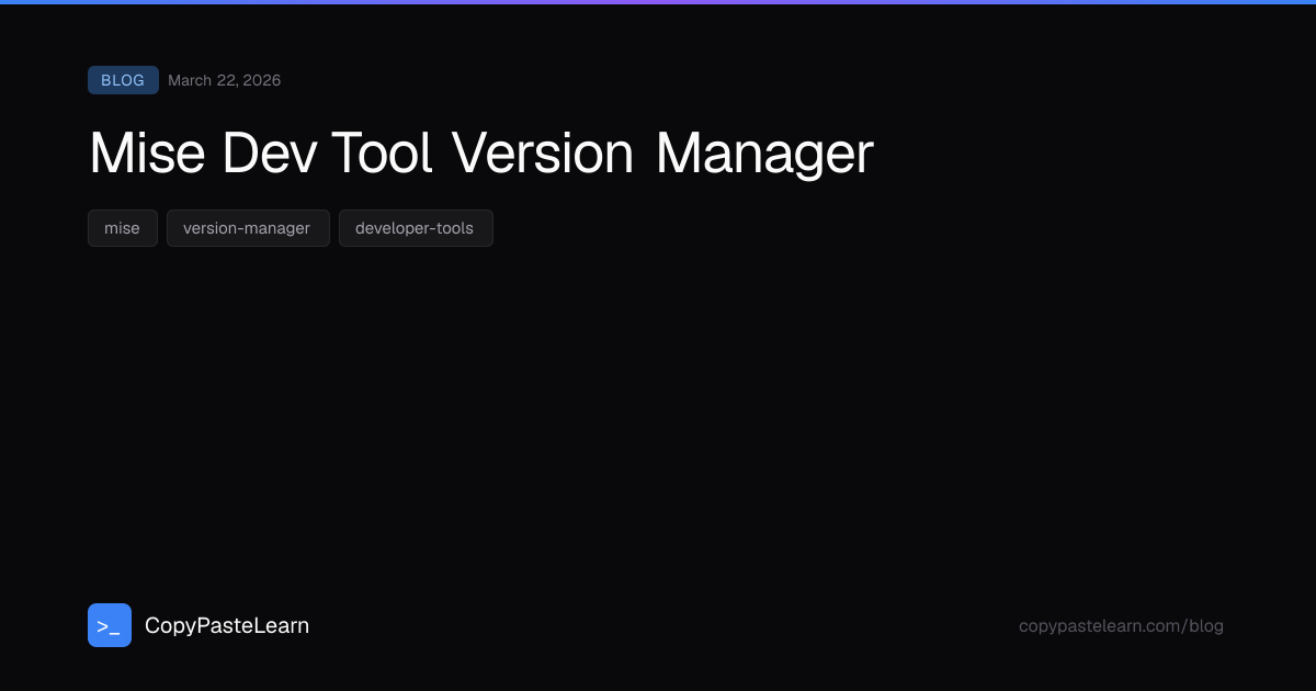 Mise Dev Tool Version Manager — CopyPasteLearn